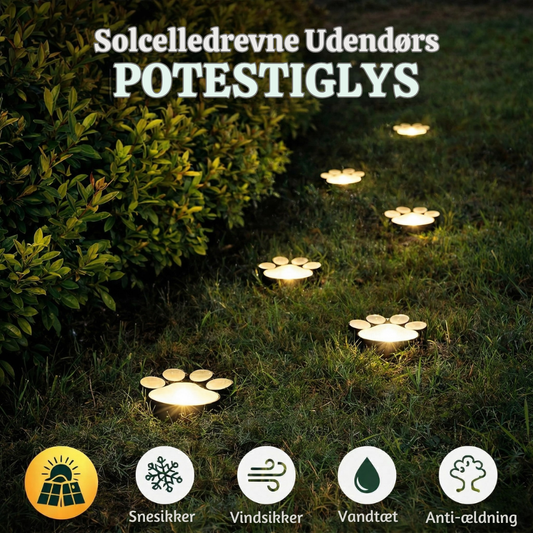GlowPaws™ – Solar-Powered Outdoor Path Lights