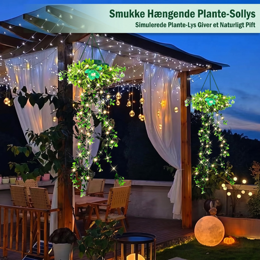 EverGlow™ – Hanging Solar Lamps for Flowers and Plants