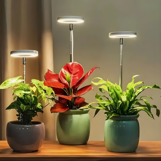 SunRoot™ – Full Spectrum LED Lamp for Healthy Plant Growth