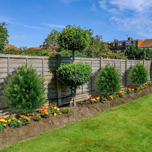 CedarGreen™ Instant Landscape Enhancement