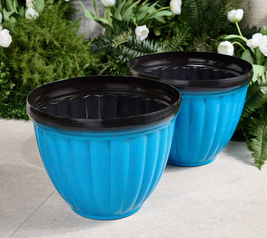GreenNest™ Worry-Free Plant Life