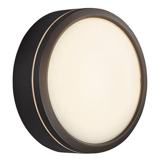 Smart Outdoor Wall Light Ava
