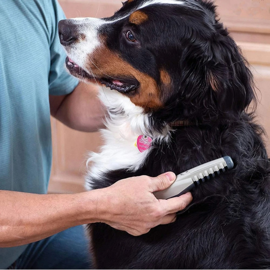 Pet Comb Without Knots or Tangles