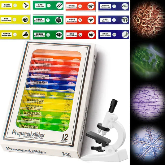 Microscope Slide Set for Children - 200MP Samples for 1000x Magnification, Educational STEM Toy
