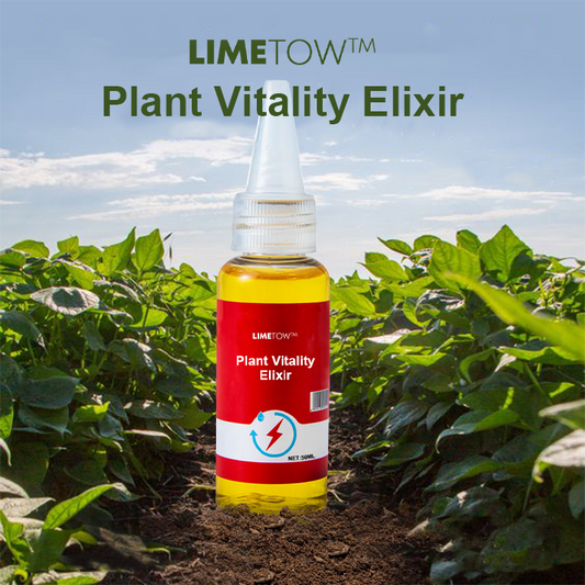 1+1 Free | VitalBloom™ Strengthens Plant Growth