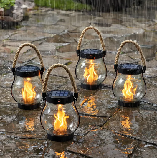 Solar Fire Seed — Magical Flame that Warms Your Heart and Enchants Every Night