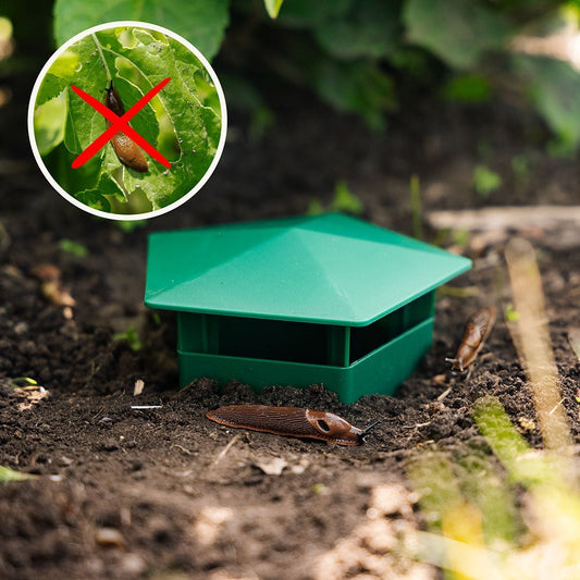 SnailTrap™ – Eco-Responsible Pest Control